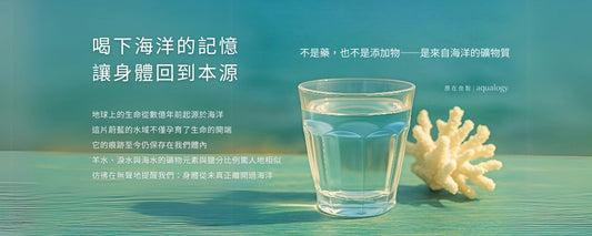 補鈣_礦物質_海洋礦物質_身體疲勞_海洋