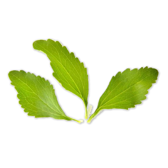 甜菊萃-蔗糖取代-蛋白飲-stevia-extract-nut-protein-coogi