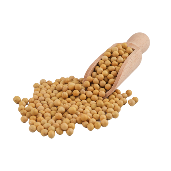 大豆蛋白-蛋白飲-Soy-Protein