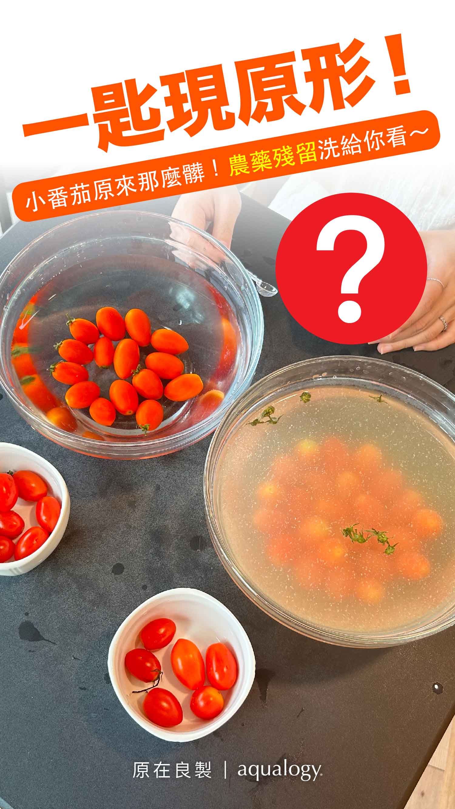 Load video: 小番茄如何清洗才安全